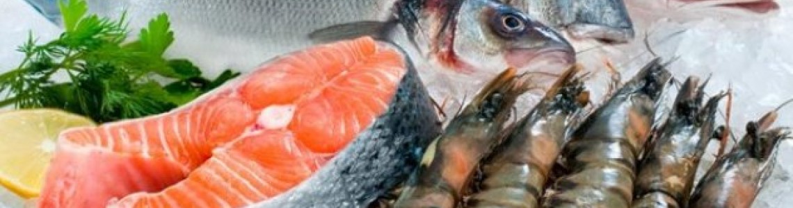 Συντήρηση και προβολή θαλασσινών -βιτρίνες προβολής-ψυγεία – θάλαμοι ψαριών