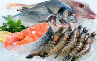Συντήρηση και προβολή θαλασσινών -βιτρίνες προβολής-ψυγεία – θάλαμοι ψαριών