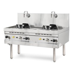 ΕΣΤΙΑ ΑΕΡΙΟΥ WOK  NGK 80S  140x75x75/105  2x33 Kw SARO BDS